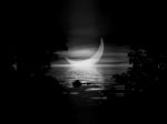 Splende la luna