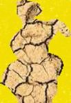 Plasmata da creta  