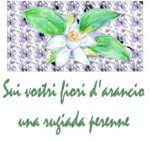 Trentasette anni fa