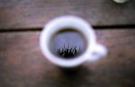 Fondi di caffè