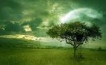 Incredibile verde