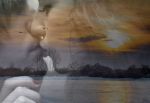 Alla ricerca dell'amore
