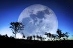La luna