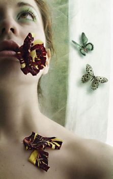 L'ambra  