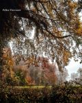 " Bosco A Dicembre!