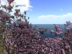Sei tu Primavera!