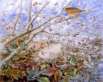 Risveglio della Primavera!