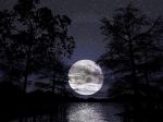 Disugual Notte!