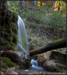 I Fiordi