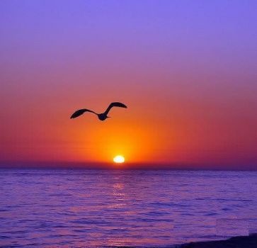 Nel sole