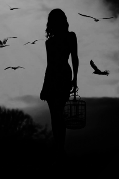 Luce
