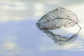 Isole