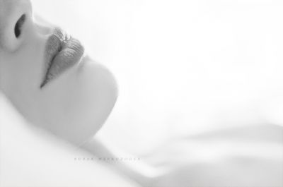 Luce