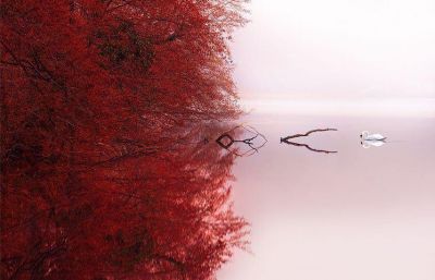 L'aurora