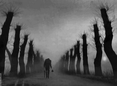 L'ombra