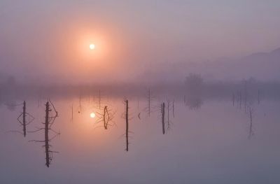 Prima luce