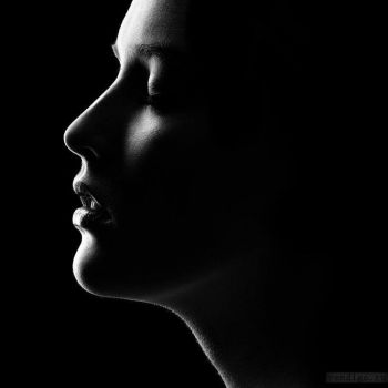 I silenzi