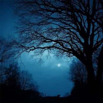 Nel silenzio di te stessa