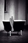 Lignoranza felice