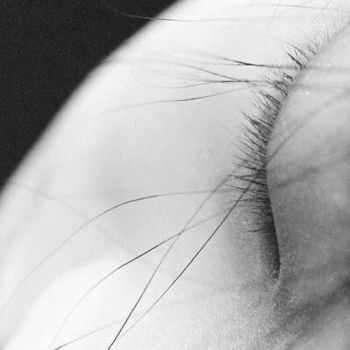 Magnifica solitudine