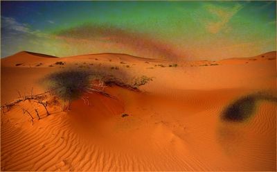 Nel prato deserto