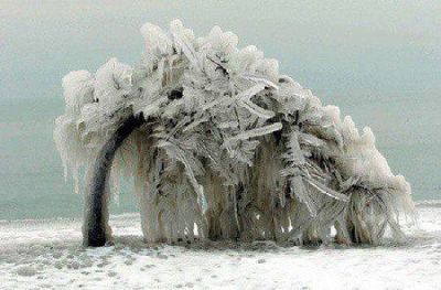 Neve