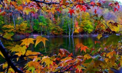 Grigio autunno