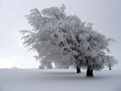 Oggi  