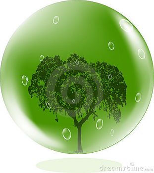Sono pianta verde