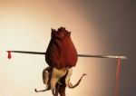 Perdere l'amore