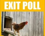 Exit poll