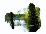 Stagno