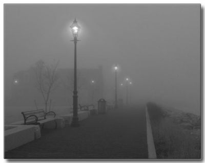 Negazione di platea