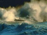 Vivo in onde