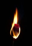 La rosa e il fuoco