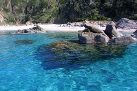 Calma apparente