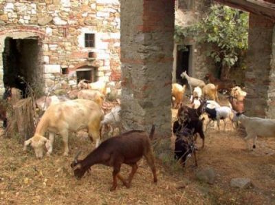 Borgo antico