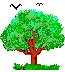L'albero secolare