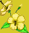 Miniera d'oro!