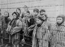 Per non dimenticare Auschwitz