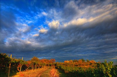 Il cielo  