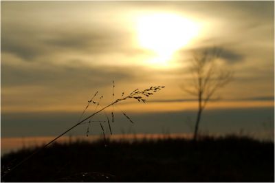 Aspettando il mattino