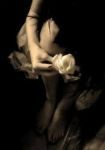 Tu profumo nellombra