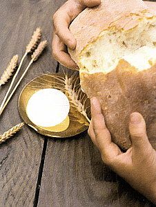 Profumo di pane