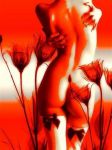 Luce nel male