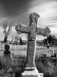 "Il fumo di Birkenau"