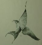 "Il ritorno delle rondini"