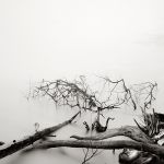 "Con la nostalgia delle nuvole"