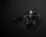 "Un fiore nero"