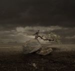 "Le gocce della notte"